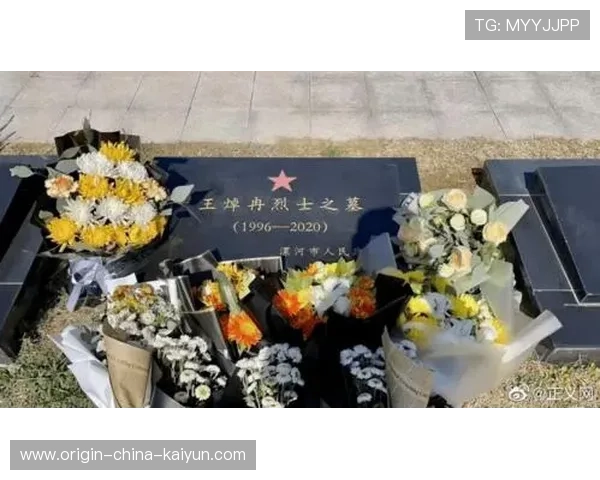 泰山签下祖马,防线坚不可摧 泰山签下祖马,防线坚不可摧