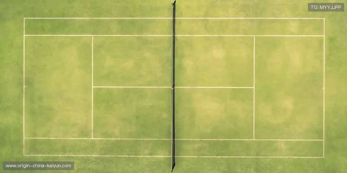 🎯周边好物，球迷必备！🎲